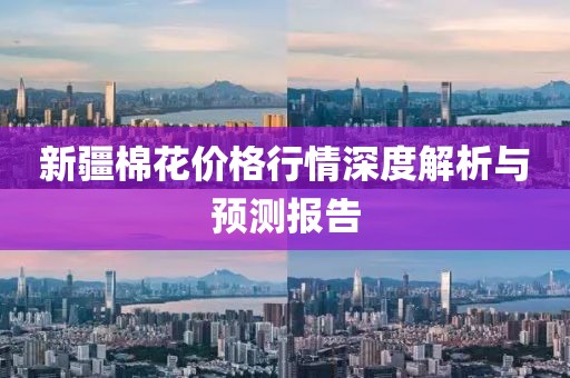 新疆棉花價格行情深度解析與預(yù)測報告