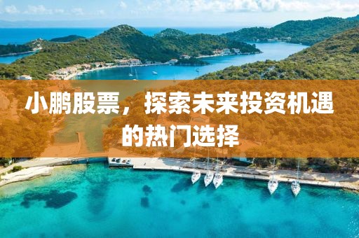 小鵬股票，探索未來投資機(jī)遇的熱門選擇