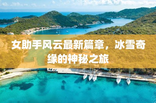 女助手風(fēng)云最新篇章，冰雪奇緣的神秘之旅