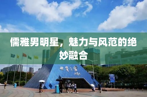儒雅男明星，魅力與風(fēng)范的絕妙融合