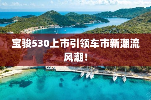 寶駿530上市引領(lǐng)車市新潮流風(fēng)潮！