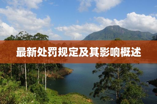 最新處罰規(guī)定及其影響概述