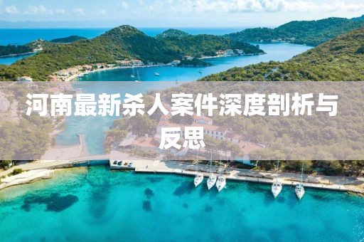 河南最新殺人案件深度剖析與反思