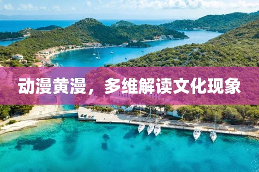 動漫黃漫，多維解讀文化現(xiàn)象