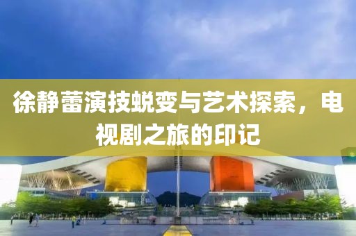 徐靜蕾演技蛻變與藝術(shù)探索，電視劇之旅的印記