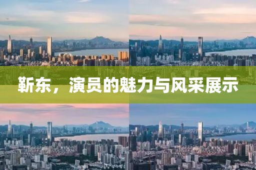 靳東，演員的魅力與風(fēng)采展示