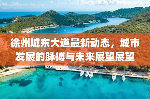 徐州城東大道最新動態(tài)，城市發(fā)展的脈搏與未來展望展望