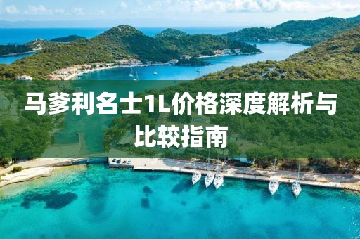 馬爹利名士1L價格深度解析與比較指南