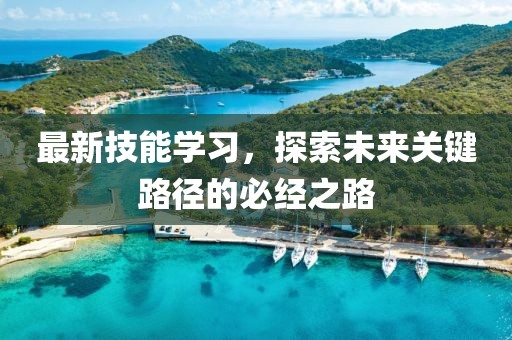 最新技能學(xué)習(xí)，探索未來(lái)關(guān)鍵路徑的必經(jīng)之路