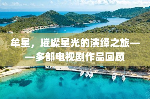 牟星，璀璨星光的演繹之旅——多部電視劇作品回顧