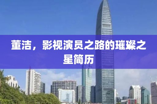 董潔，影視演員之路的璀璨之星簡歷