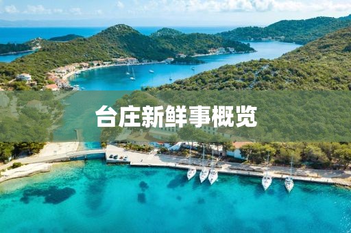 臺莊新鮮事概覽