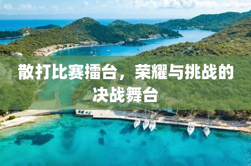 散打比賽擂臺，榮耀與挑戰(zhàn)的決戰(zhàn)舞臺