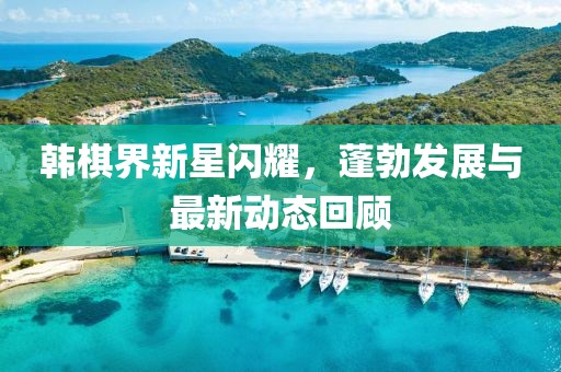 韓棋界新星閃耀，蓬勃發(fā)展與最新動(dòng)態(tài)回顧