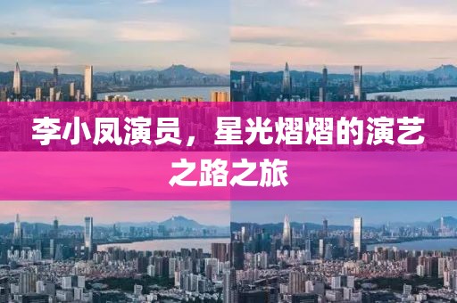 李小鳳演員，星光熠熠的演藝之路之旅