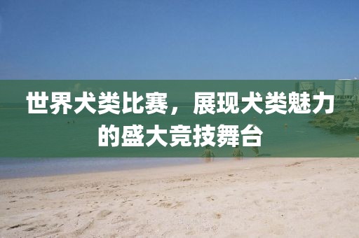 世界犬類比賽，展現(xiàn)犬類魅力的盛大競技舞臺