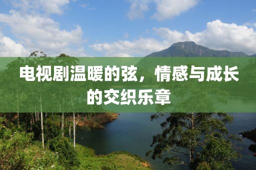電視劇溫暖的弦，情感與成長的交織樂章