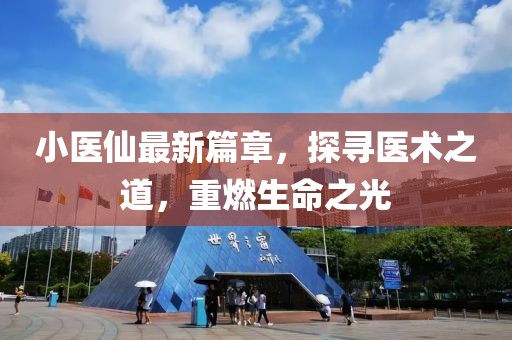 小醫(yī)仙最新篇章，探尋醫(yī)術之道，重燃生命之光