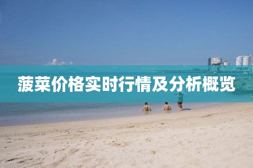 菠菜價格實時行情及分析概覽