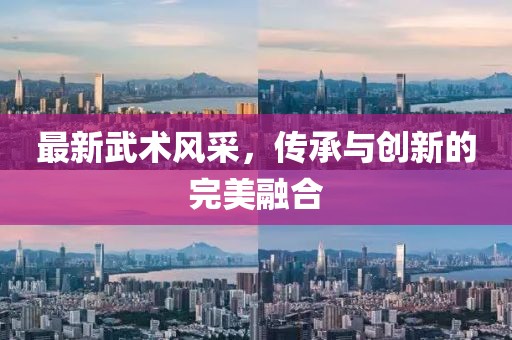 最新武術(shù)風(fēng)采，傳承與創(chuàng)新的完美融合