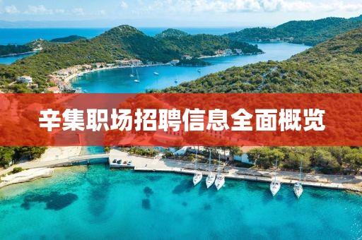 辛集職場招聘信息全面概覽