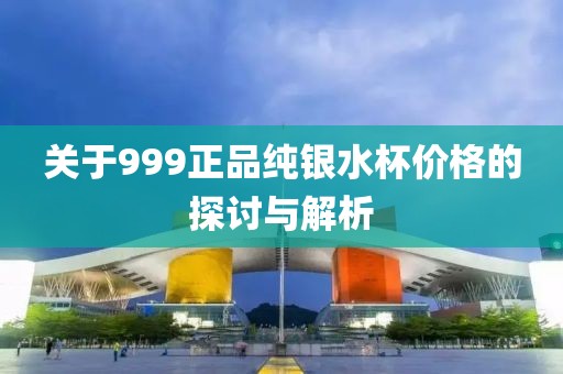 關于999正品純銀水杯價格的探討與解析