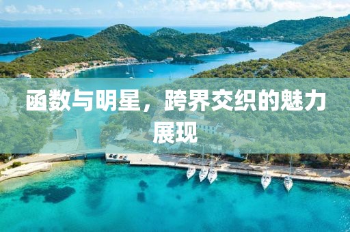 函數(shù)與明星，跨界交織的魅力展現(xiàn)