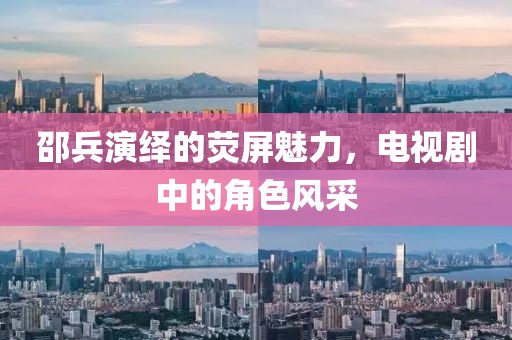 邵兵演繹的熒屏魅力，電視劇中的角色風(fēng)采