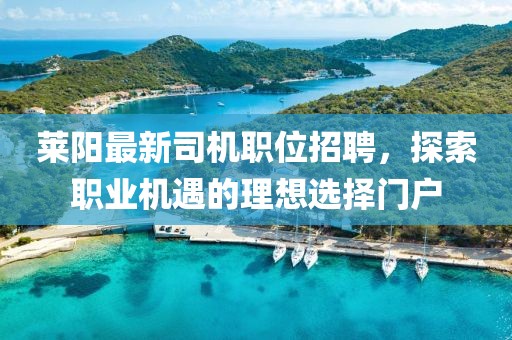 萊陽最新司機職位招聘，探索職業(yè)機遇的理想選擇門戶