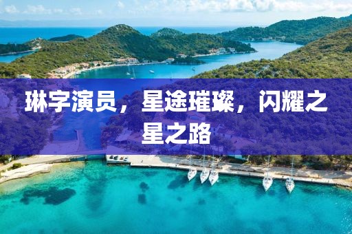 琳字演員，星途璀璨，閃耀之星之路