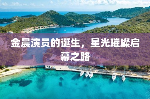 金晨演員的誕生，星光璀璨啟幕之路