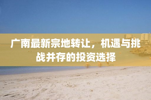 廣南最新宗地轉(zhuǎn)讓，機遇與挑戰(zhàn)并存的投資選擇