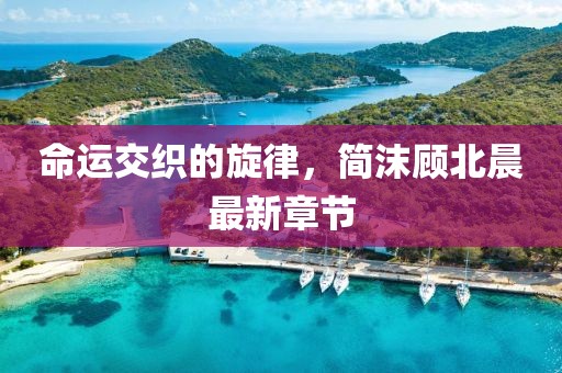 命運交織的旋律，簡沫顧北晨最新章節(jié)
