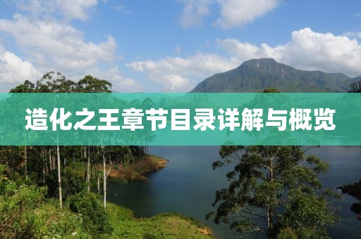 造化之王章節(jié)目錄詳解與概覽