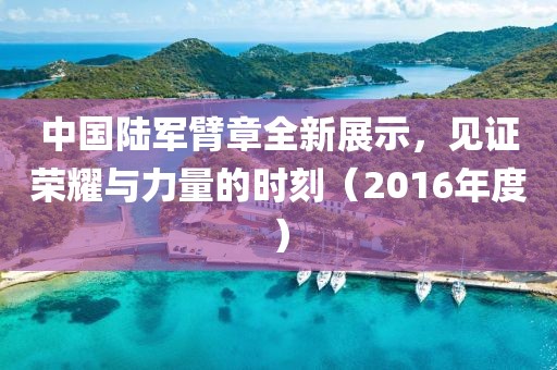 中國(guó)陸軍臂章全新展示，見(jiàn)證榮耀與力量的時(shí)刻（2016年度）