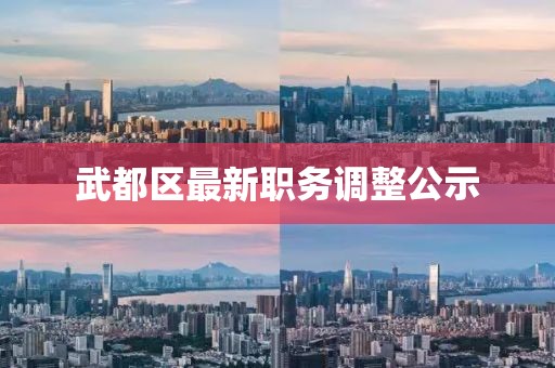 武都區(qū)最新職務(wù)調(diào)整公示
