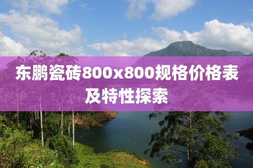 東鵬瓷磚800x800規(guī)格價(jià)格表及特性探索