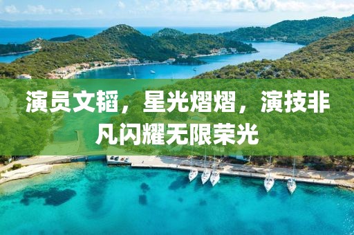 演員文韜，星光熠熠，演技非凡閃耀無限榮光