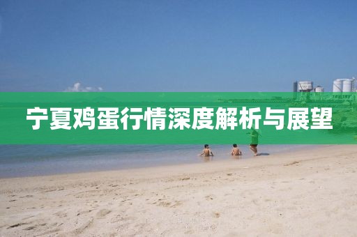寧夏雞蛋行情深度解析與展望