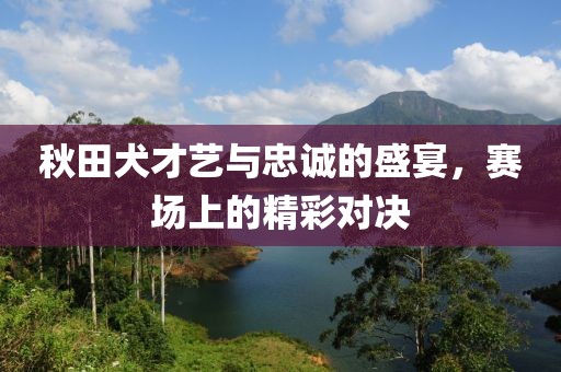秋田犬才藝與忠誠的盛宴，賽場上的精彩對決