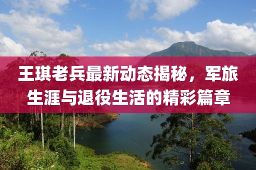 王琪老兵最新動(dòng)態(tài)揭秘，軍旅生涯與退役生活的精彩篇章