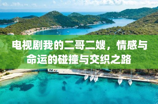 電視劇我的二哥二嫂，情感與命運的碰撞與交織之路