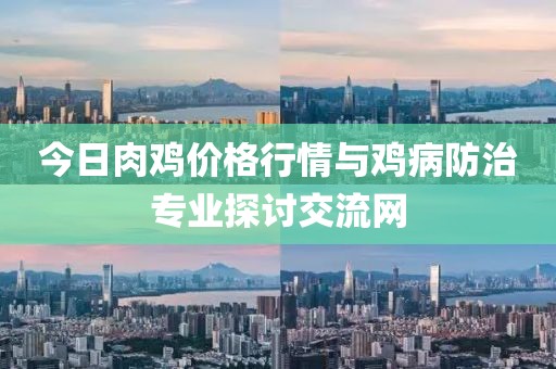 今日肉雞價(jià)格行情與雞病防治專業(yè)探討交流網(wǎng)