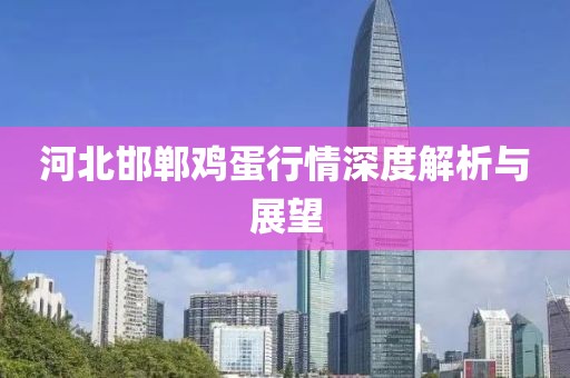 河北邯鄲雞蛋行情深度解析與展望