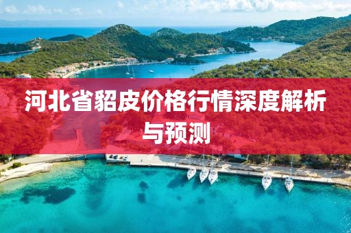 河北省貂皮價(jià)格行情深度解析與預(yù)測