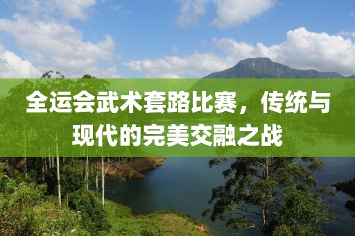 全運會武術套路比賽，傳統(tǒng)與現(xiàn)代的完美交融之戰(zhàn)