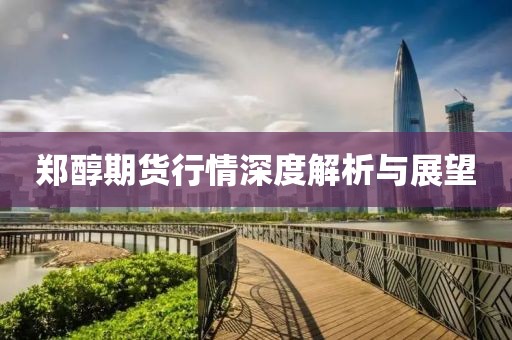 鄭醇期貨行情深度解析與展望
