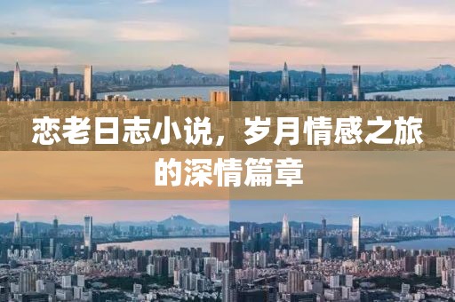 戀老日志小說，歲月情感之旅的深情篇章