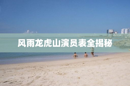 風(fēng)雨龍虎山演員表全揭秘