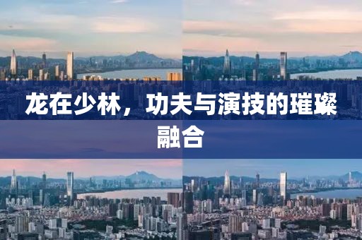 龍?jiān)谏倭?，功夫與演技的璀璨融合